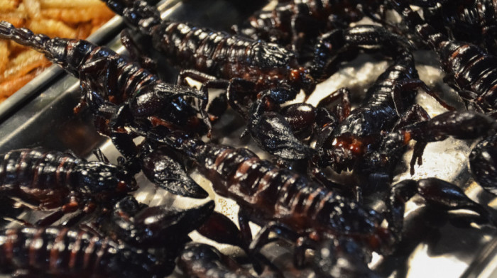 Kustos njujorškog muzeja pokušao da prokrijumčari oko 1.500 retkih otrovnih škorpiona i paukova iz Turske