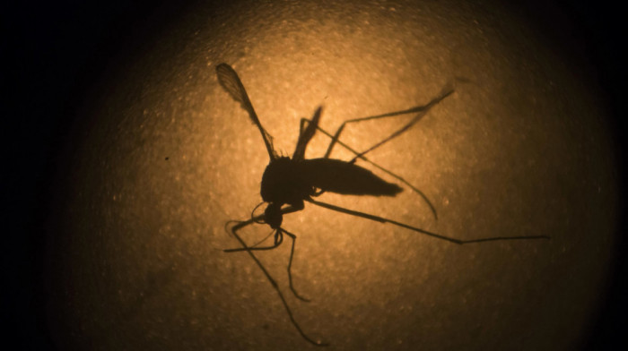 Honduras proglasio vanredno stanje zbog denga groznice