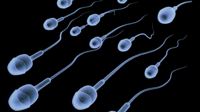 Prekretnica za čovečanstvo: Broj spermatozoida drastično opao u svetu, stručnjaci upozoravaju na borbu za potomstvo