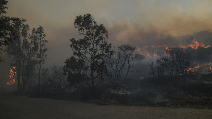 Požar u okrugu Korintija u Grčkoj: Borba sa vatrom se nastavlja, plamen dostigao 25 metara