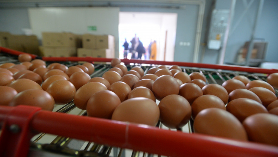 Evropska komisija uvodi carinu na jaja i ovas iz Ukrajine, godišnja kvota dozvoljenog uvoza već dostignuta