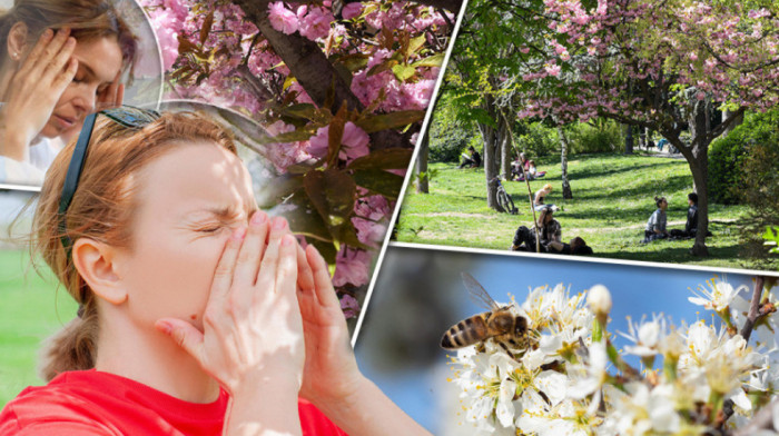 Mitrović: Izuzetno velika količina polena u vazduhu, ranije cvetanje biljaka