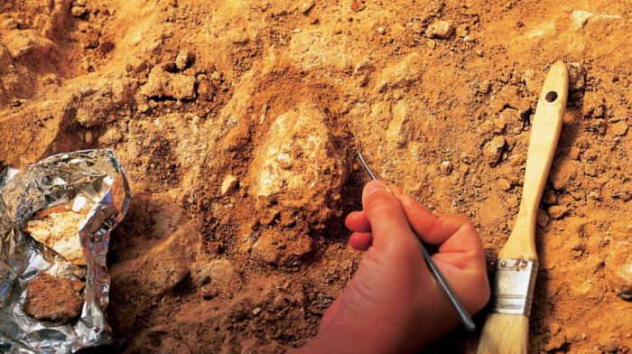 "Britanska Pompeja": Pronađeni izuzetno očuvani predmeti koji su upali u reku Nin pre 3.000 godina