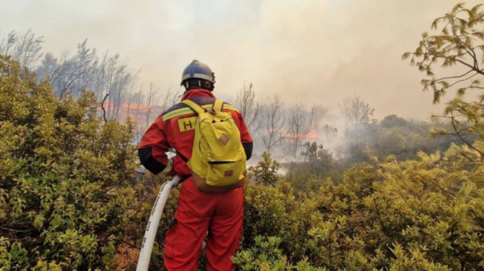 Broj požara u brazilskim močvarama porastao za skoro hiljadu odsto