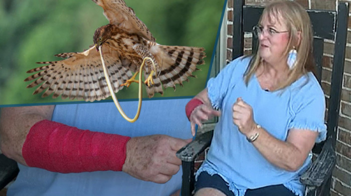 Dvostruki susret sa predatorima: Na ženu iz Teksasa sa neba pala zmija, a zatim se na nju obrušio i jastreb