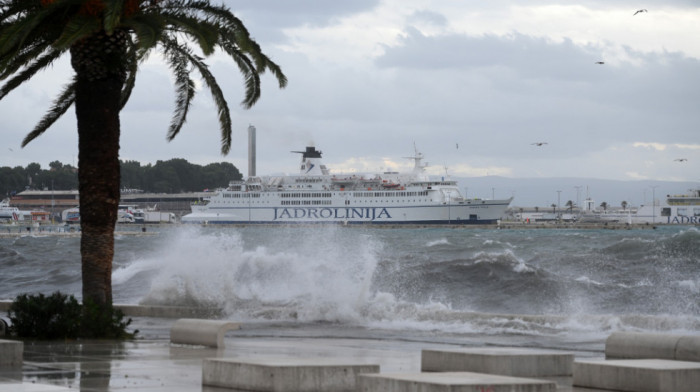 Kit primićen u Jardanskom moru: Nadležni uputili apel turistima i meštanima da mu ne prilaze