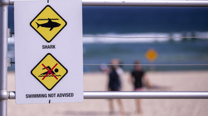 Patrole duž obale zaliva Florida zbog napada ajkula, nekoliko plaža zatvoreno za kupače