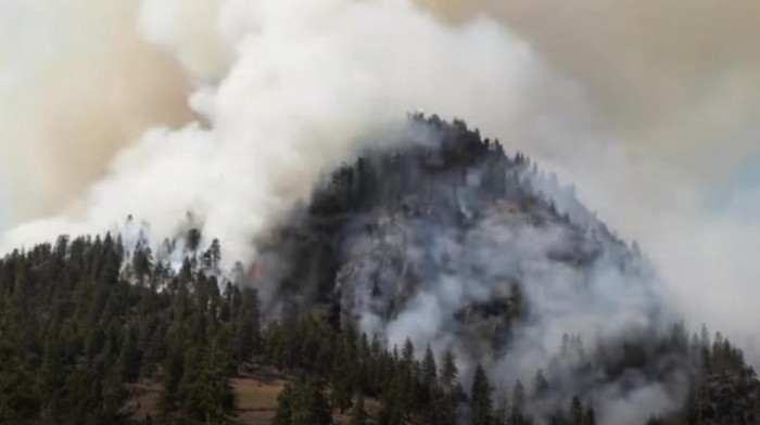 Veliki šumski požar uzrok evakuacije 1.200 ljudi iz odmarališta u Dolini gladi u Los Anđelesu