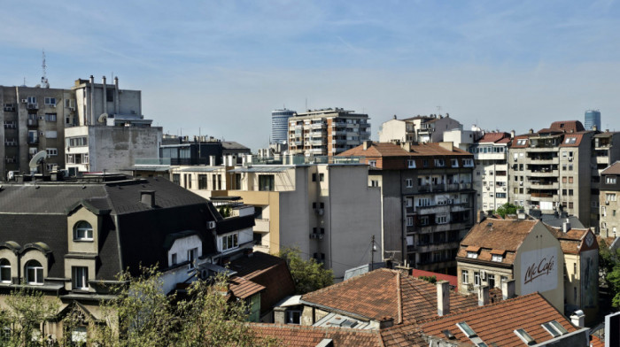 Umesto na Severu Afrike, ptica selica završila u Beogradu: Kome da se obratimo ukoliko naletimo na ugroženu vrstu?