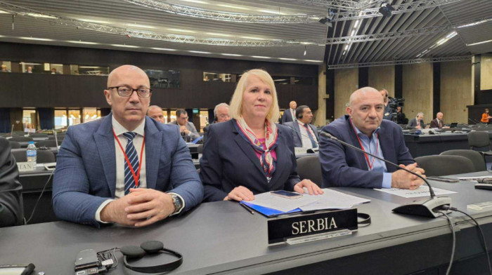 Delegacija Srbije u Parlamentarnoj skupštini NATO na prolećnom zasedanju ukazala na ugroženost Srba na Kosovu