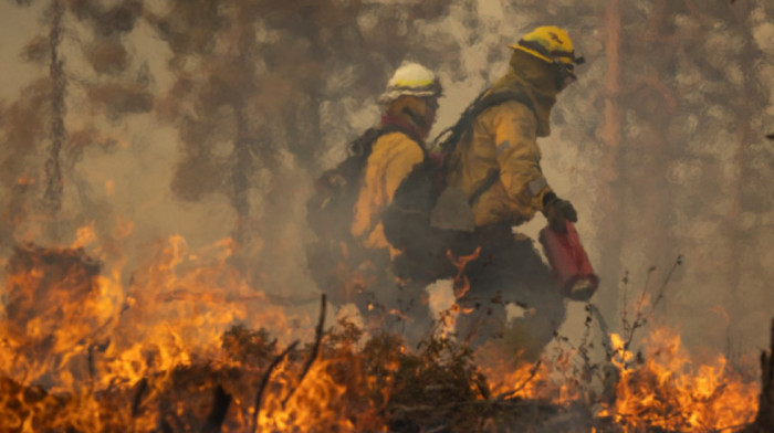Bajden proglasio stanje velike katastrofe zbog šumskih požara na jugu Novog Meksika, ima i žrtava