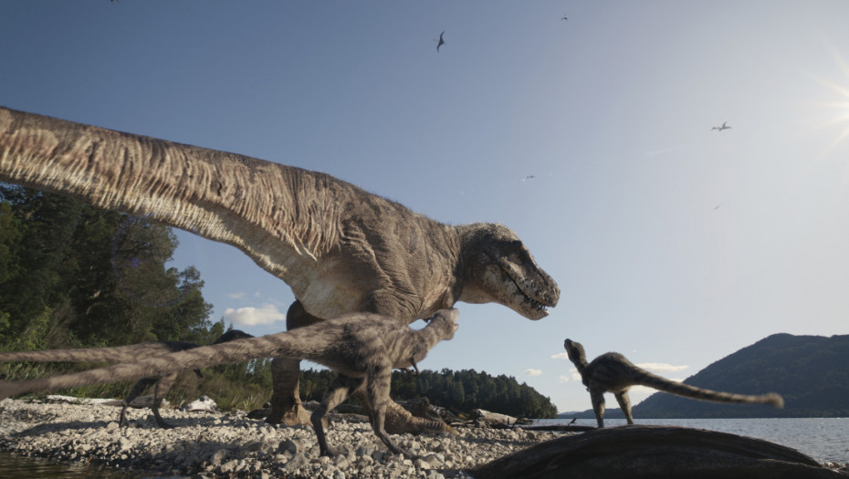 Kako je opasni predator živeo u tinejdžerskom dobu: Dečaci u pustinji pronašli redak primerak fosila tiranosaurusa reksa