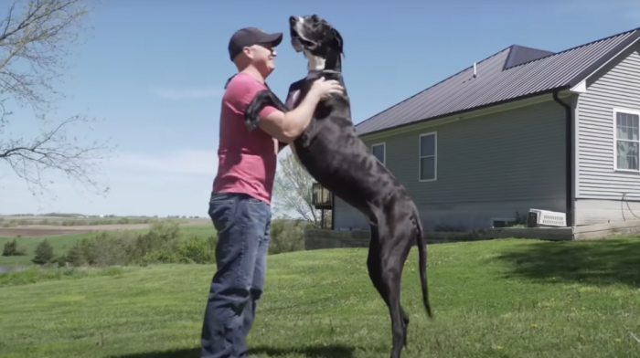 Najviši pas na svetu po imenu Kevin uginuo samo nekoliko meseci nakon upisa u Ginisovu knjigu rekorda
