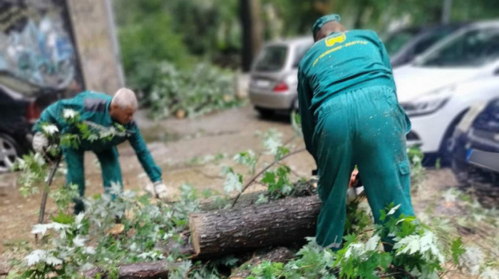 Ekipe Gradske čistoće pojačanim kapacitetima rade na sanaciji posledica nevremena u Beogradu