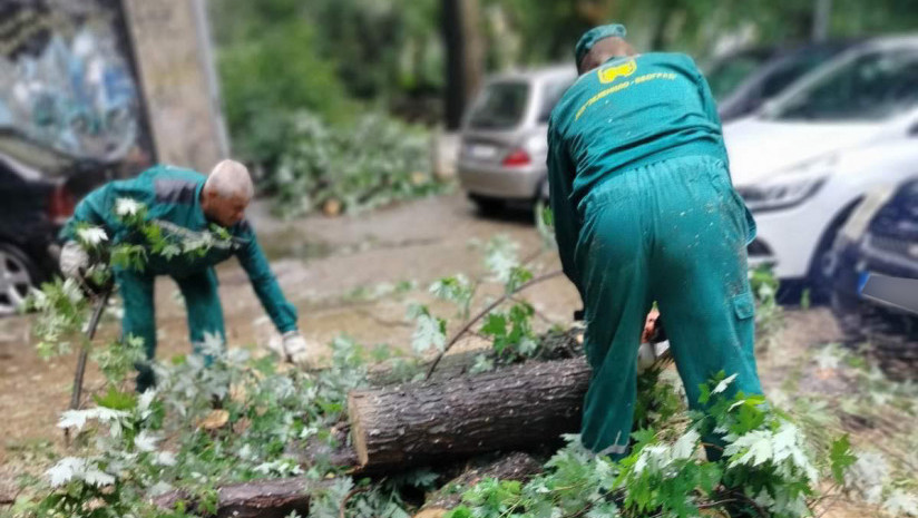 Ekipe Gradske čistoće pojačanim kapacitetima rade na sanaciji posledica nevremena u Beogradu