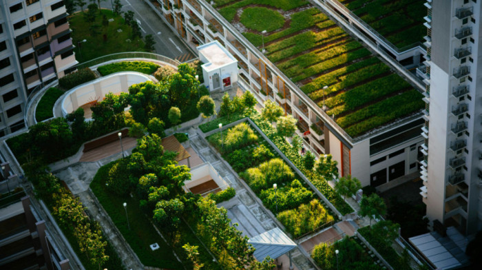 Raste interesovanje za zelene krovove: Estetski su privlačni, a kako mogu da budu još održiviji i pristupačniji?
