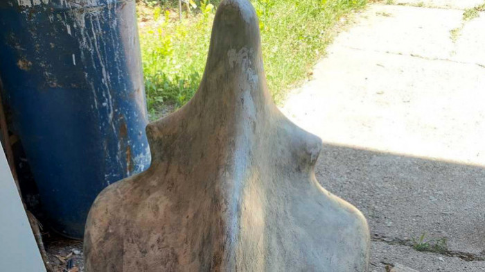Osumnjičeni za krađu skulpture "Delfin" Milorada Stupovskog priznao krivicu
