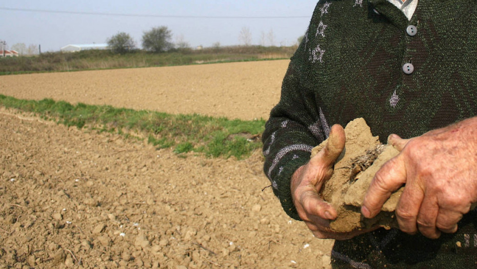 Božović: Klimatski uslovi ove sezone uticali na prinose kako u Banatu tako i na KiM