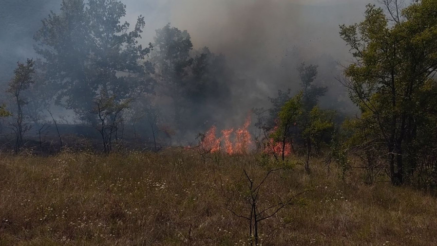 Borba sa požarom na Vidliču se nastavlja - najteže u selima Krupac, Smilovci i Basara