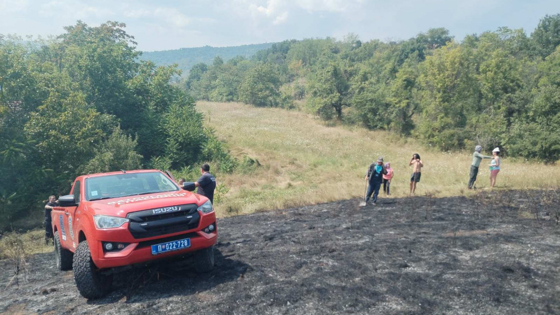 Ugašen veliki požar kod Pirota koji je pretio da zahvati deo sela Crvenče