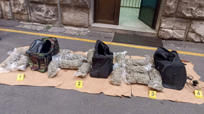 Uhapšeno sedam osoba u Mladenovcu i Topoli, zaplenjeno 20 kilograma marihuane