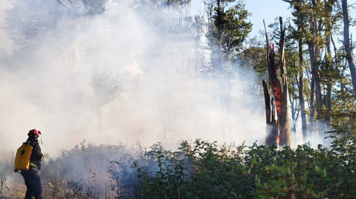 Šumski požari zahvatili Balkan posle višenedeljnih visokih temperatura