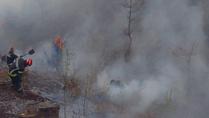 Otac i dvojica sinova pritvoreni zbog izazivanja požara u Severnoj Makedoniji