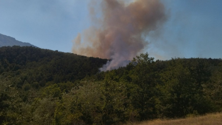 Novi požari na području Bileće i Gacka: Gore bandere i niskopanske mreže, povredio se vatrogasac prilikom gašenja