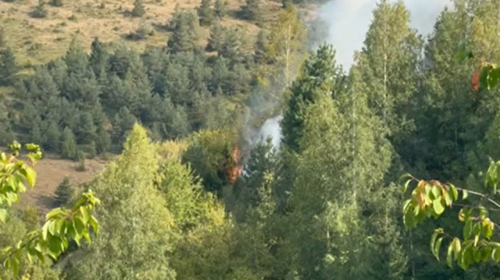 "Dve kuće su ugrožene": U požaru na Jadovniku izgorelo nekoliko desetina hektara šume, vatra preti da zahvati sela