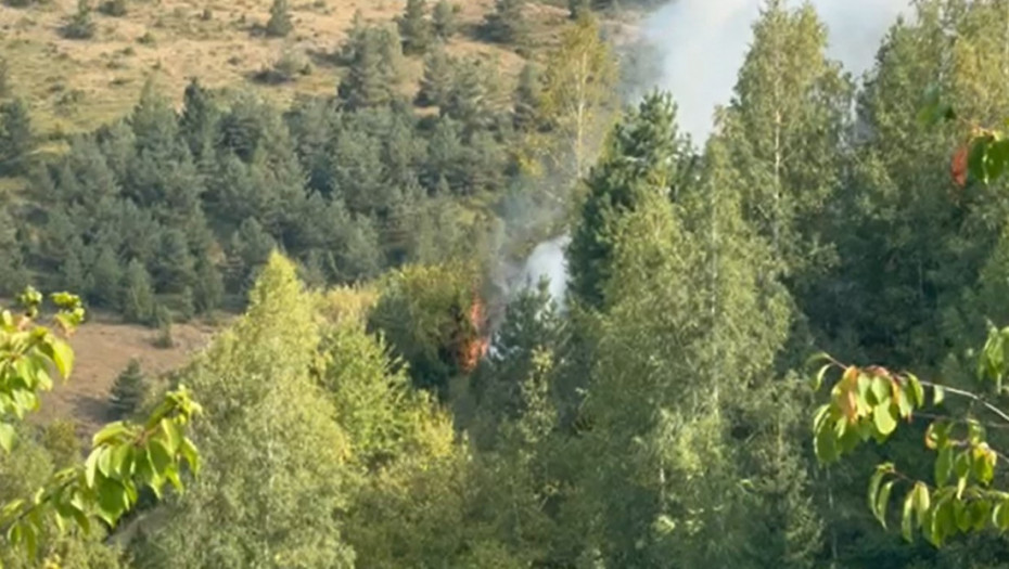 Šumski požar u kanjonu reke Tare stavljen pod kontrolu