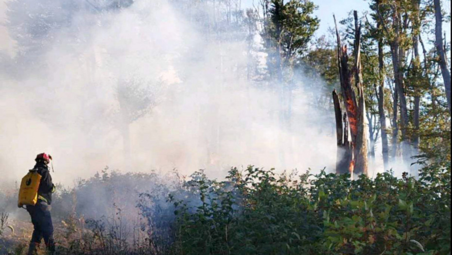 U Srbiji za 24 sata 135 požara na otvorenom: Angažovano 416 vatrogasaca, poseban zadatak za helikopter "Super Puma"