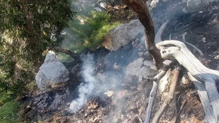 Požar na Tari pod kontrolom: Sa zgarišta se još širi dim, vatrogasci i dalje dežuraju