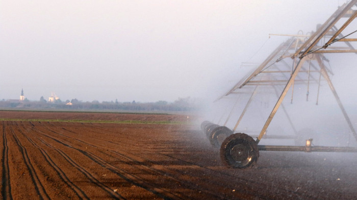 U Vojvodini za opremu i sisteme za navodnjavanje 370 miliona dinara subvencija: Biće postavljeni na 3.000 hektara