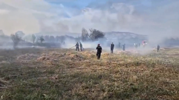 Veliki požar u blizini Kladova: Gori 150 hektara niskog rastinja i njiva (VIDEO)