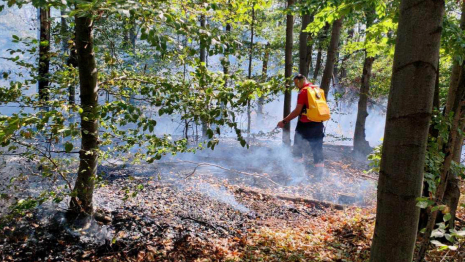 Požar kod Bratunca ugašen, u Nacionalnom parku "Drina" još je aktivan i širi se