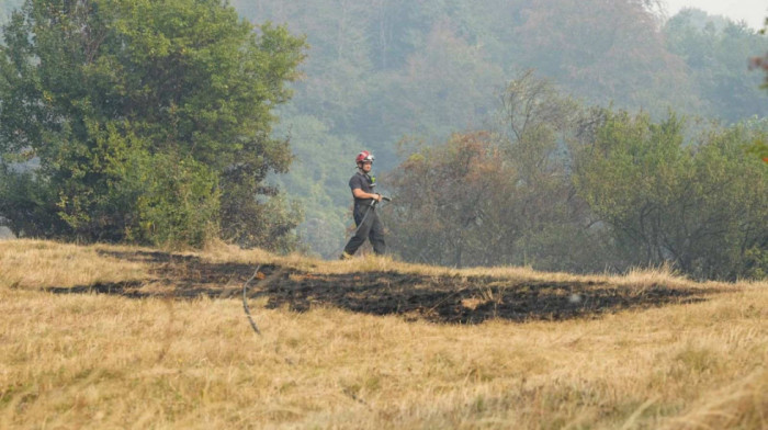 Dvoje stradalo u požaru kod Ljubovije: Zatečeni bez znakova života, vatra zahvatila nisko rastinje i šumu