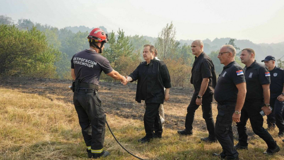 Dačić: Požari na Staroj planini i okolini Žagubice stavljeni pod jednu vrstu kontrole