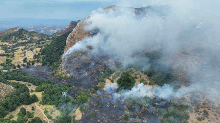 Lokalizovan požar na Žaračkoj planini, na Troglavu traje još uvek - vatra već "progutala" 50 hektara šume