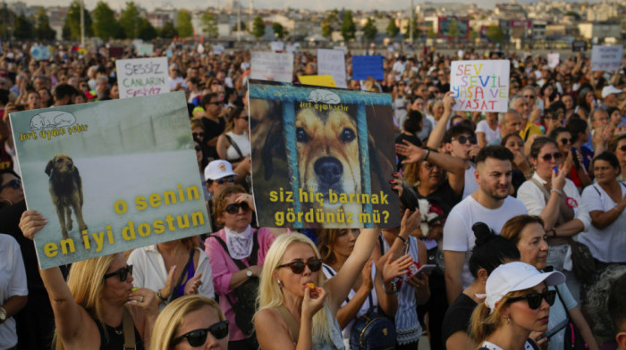 Protest u Istanbulu zbog novog zakona o psima lutalicama: Skloništa su paravan za ubijanje životinja