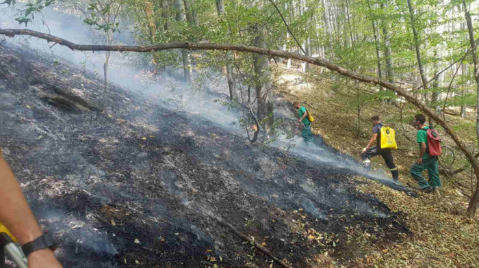 Sektor za vanredne situacije MUP-a:  167 požara na otvorenom za 24 sata