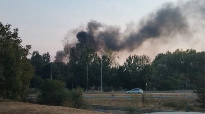 Požar na Čukaričkoj padini: Zapalilo se nisko rastinje, intervenisali vatrogasci (VIDEO)