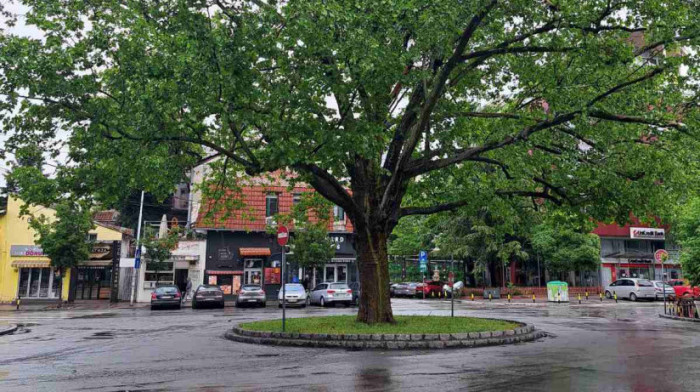 Završen uviđaj na Vračaru: Policija iz restorana odnela predmet za koji se sumnja da je bomba