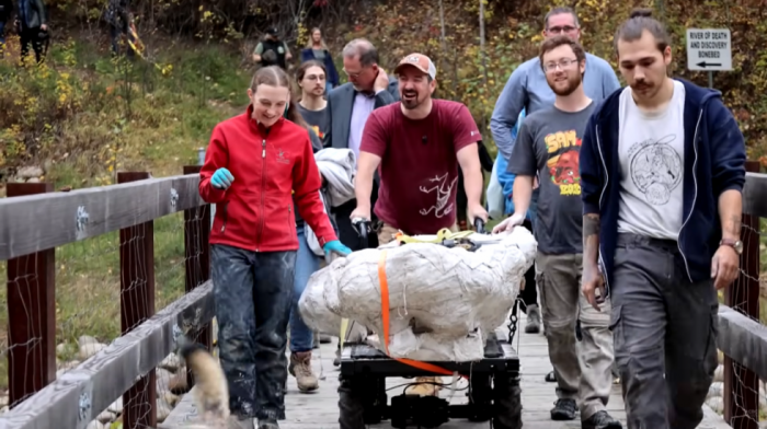 "Big Sem" lutao Albertom pre 70 miliona godina: U Kanadi otkrivena lobanja dinosaurusa teška skoro 300 kilograma