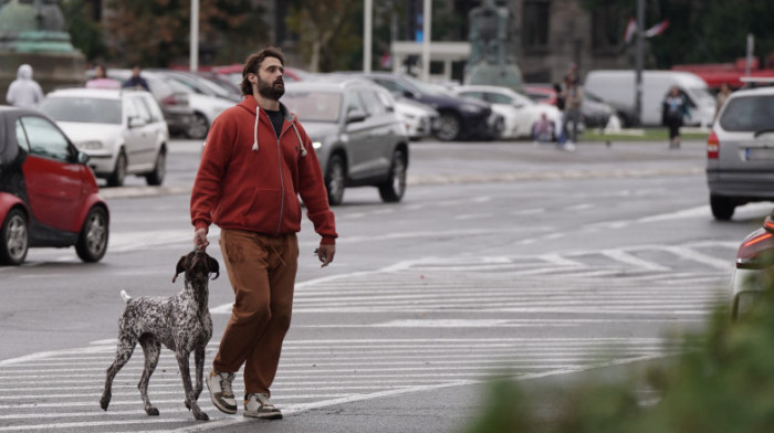 Niška opština protiv neodgovornih vlasnika pasa: Inspektori u civilu proveravaće ko ne čisti za svojim ljubimcem