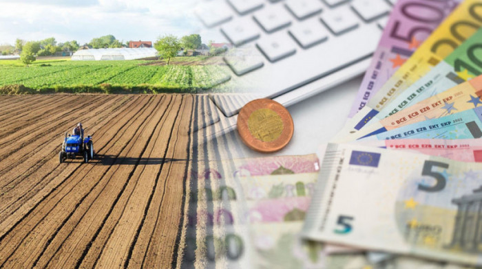 Tokenizacija agrara kao moderan vid onlajn zadruge: Kolika je dobit od ulaganja minimum 100 evra u plantažu lešnika