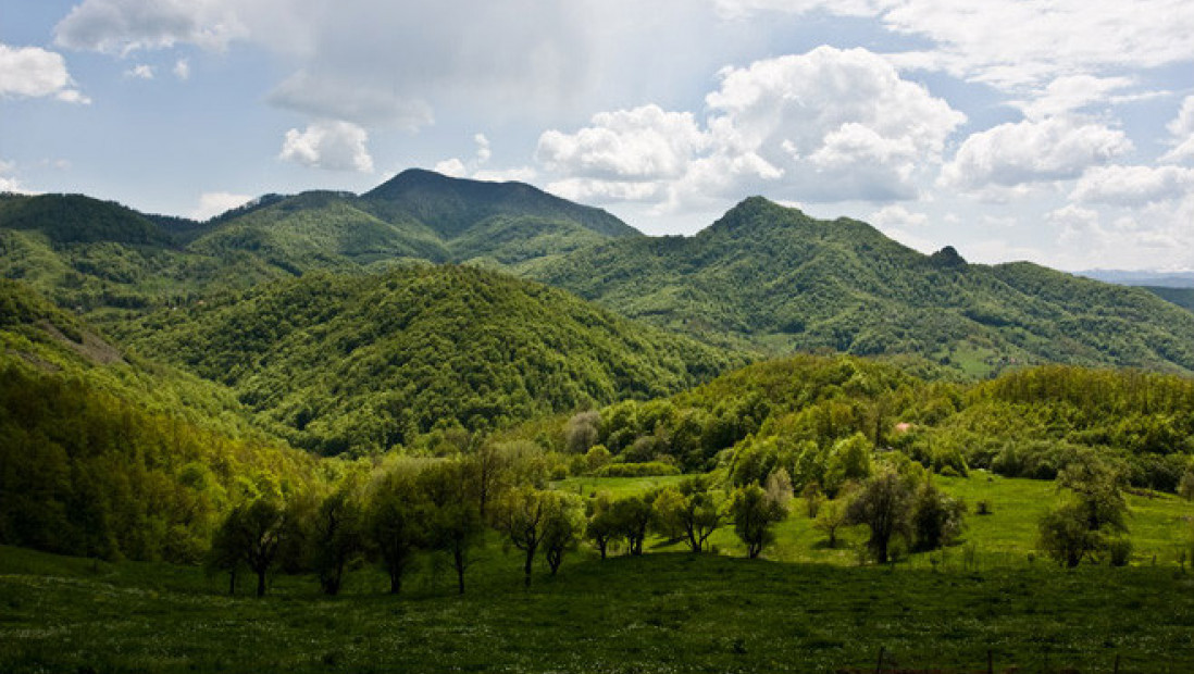 Tužba zbog geoloških istraživanja na Rogozni i nedozvoljenog skladištenja opasnih materija