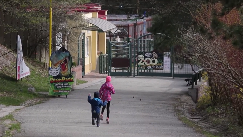 Zoološki vrt u Košicama zatvoren za javnost, potvrđen slučaj ptičjeg gripa kod patke