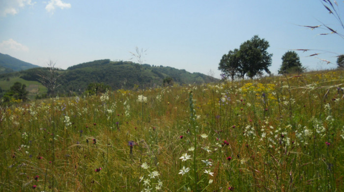 Planina Rudnik proglašena zaštićenim područjem u Srbiji