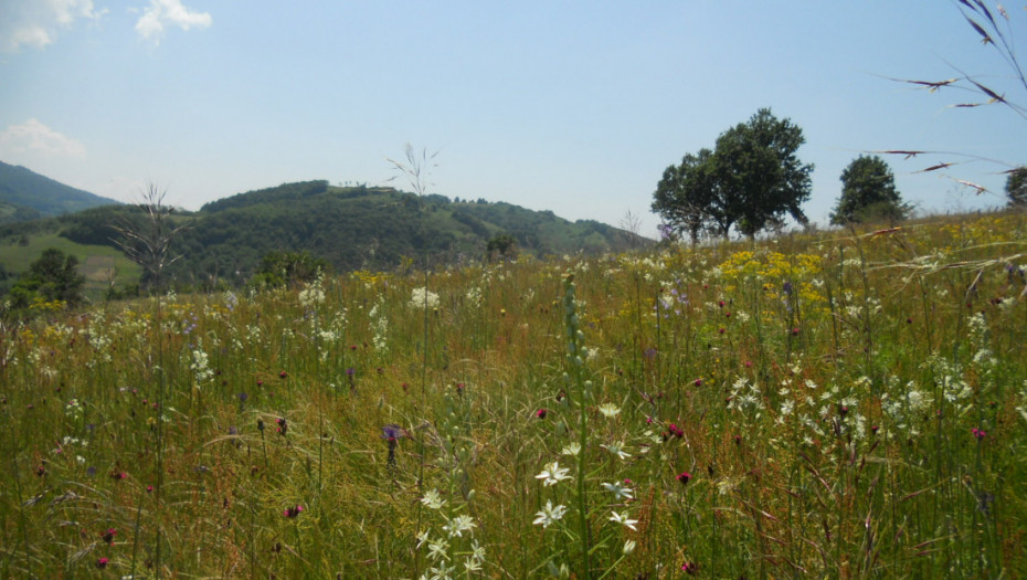 Planina Rudnik proglašena zaštićenim područjem u Srbiji