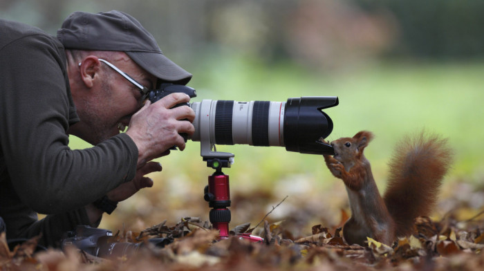 Zaglavljena veverica, žaba u mehuru i riba što lovi orla: Ko su pobednici ovogodišnjeg takmičenja Nikon Comedy Wildlife